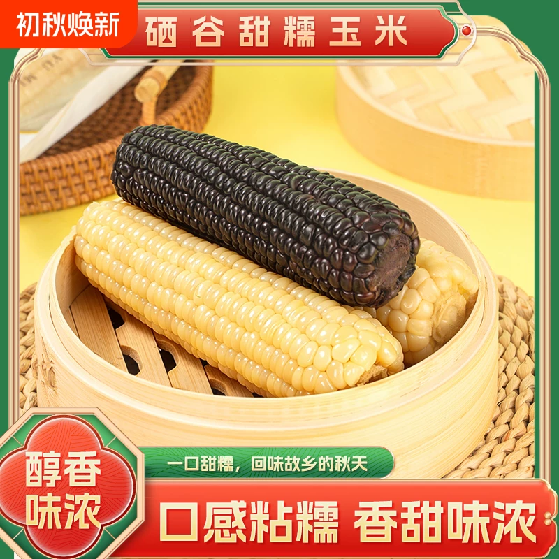 东北糯黄玉米10根