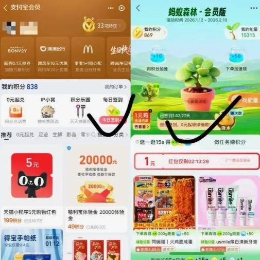 【支付宝】0元领绿植包邮