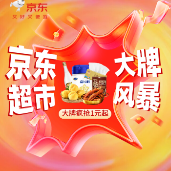 京东 京东超市大牌风暴 大牌疯抢1元起
