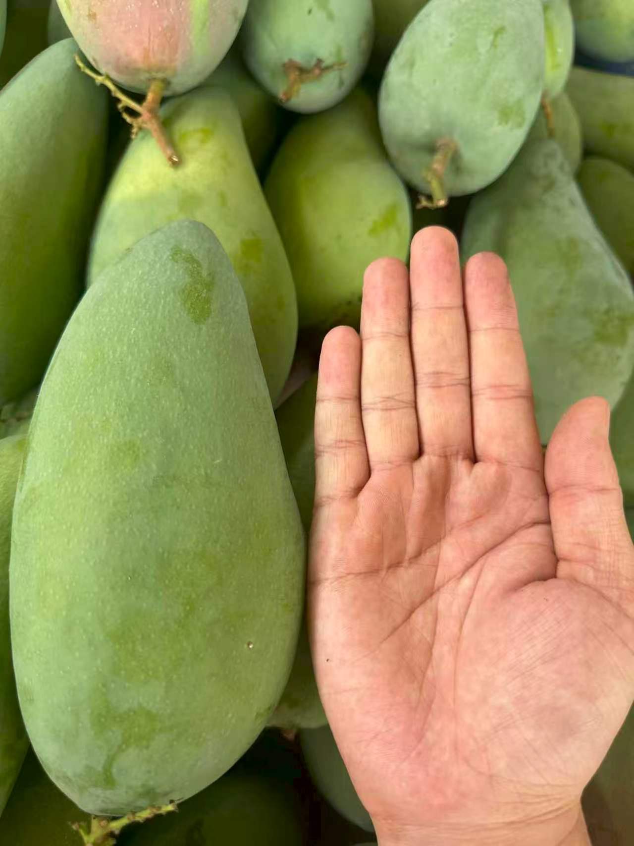 0_3
