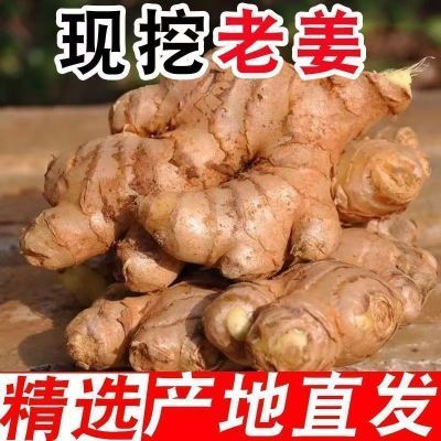 PDD热销产品汇总14点档更新2025/05/25