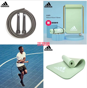 24元包邮！阿迪达斯  专业健身竞速跳绳 可调长短