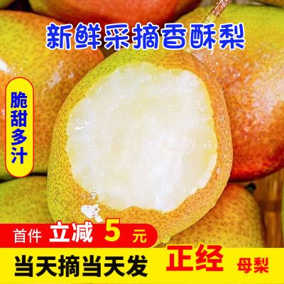 PDD热销产品汇总14点档更新2023/10/05