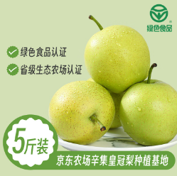 16.9亓包邮！河北辛集 一级皇冠梨 含箱5斤礼盒8-9个装