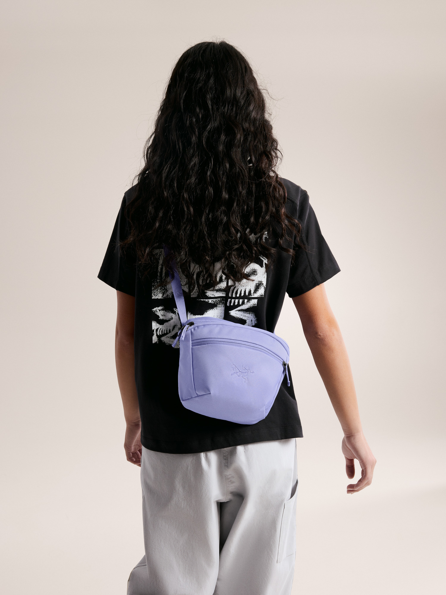 Arcteryx Mantis 2 Waist Pack