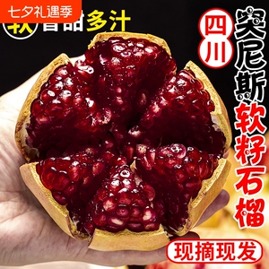 正宗四川会理突尼斯软籽石榴新鲜孕妇水果应当季现摘特大果礼盒装