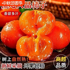 山西软柿子应季火晶柿子蜜柿正宗甜柿冰糖当季无核新鲜水果整箱