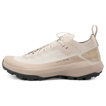Arc'teryx Vertex Alpine GTX Approach Shoes - Men's