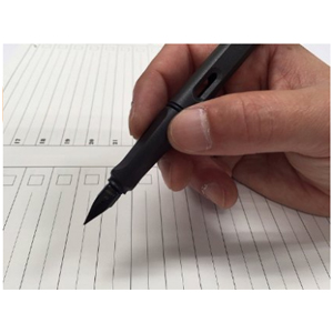 LAMY 凌美 safari 狩猎者系列 钢笔 L17-EF 