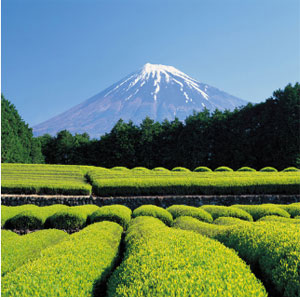 阿里旅行 杭州-日本大阪静冈5天往返含税机票首都航空 阿里旅行 杭州-日本大阪静冈5天往返含税机票首都航空