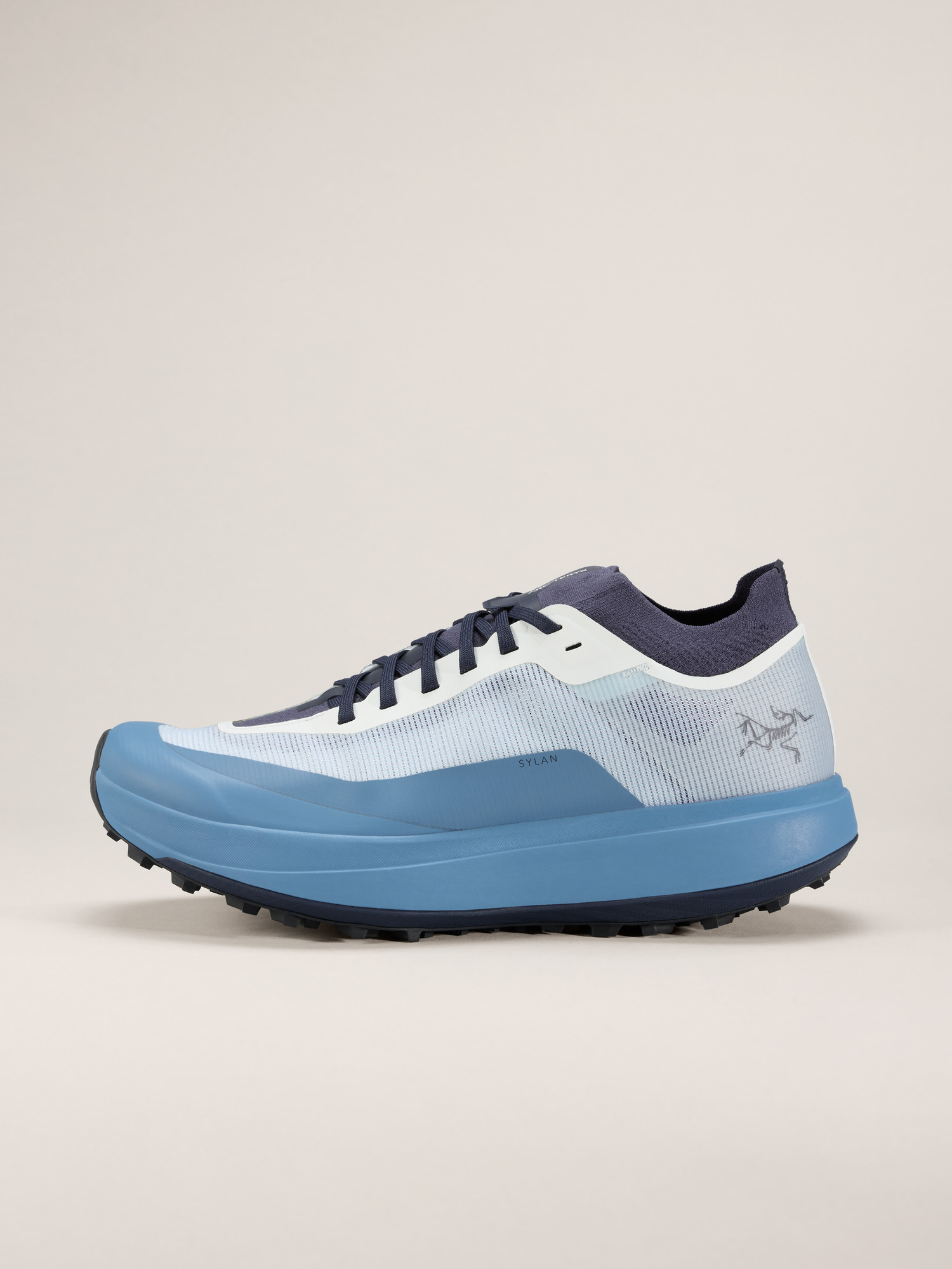 Arcteryx Sylan Shoe Men's
