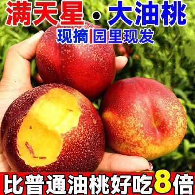 PDD热销产品汇总08点档更新2024/06/20