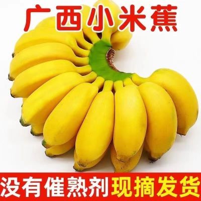 PDD热销产品汇总14点档更新2024/08/16