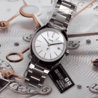 RADO雷达帝星系列R15513103男士机械腕表