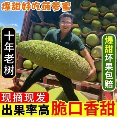 PDD热销产品汇总20点档更新2025/06/13