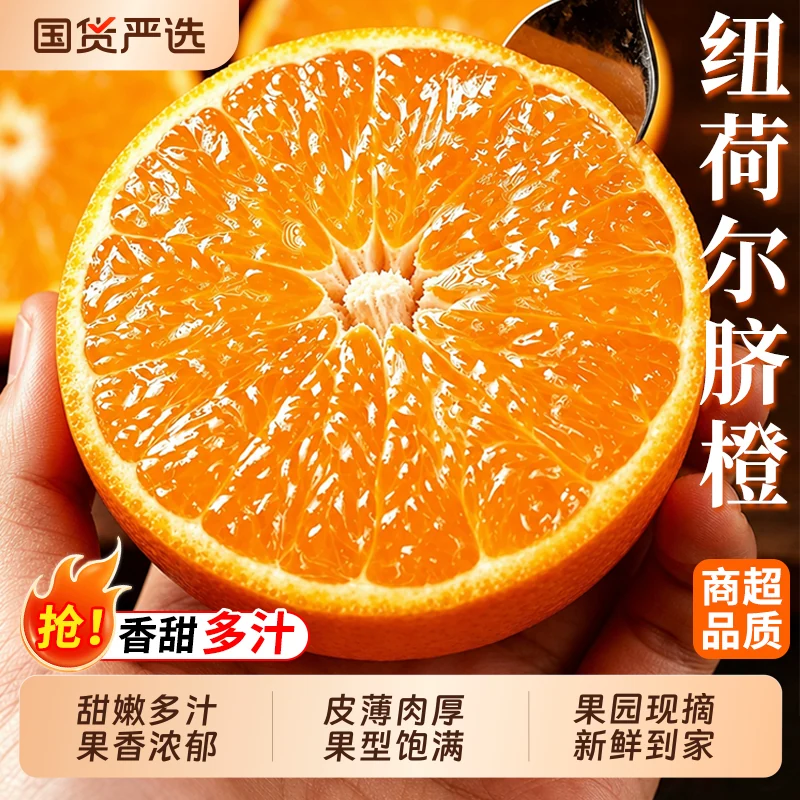 纽荷尔脐橙5斤