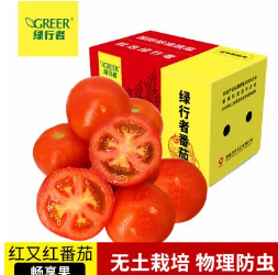 19.9元包邮！绿行者 番茄5斤