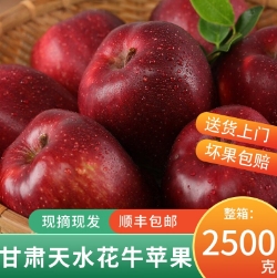 29.9元包邮！花牛苹果5斤中果