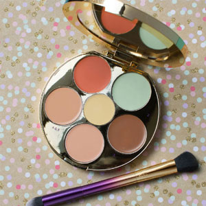 Tarte 限量修容盘