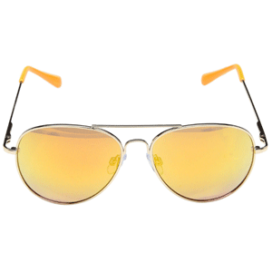 STEVE MADDEN SM482117 太阳镜