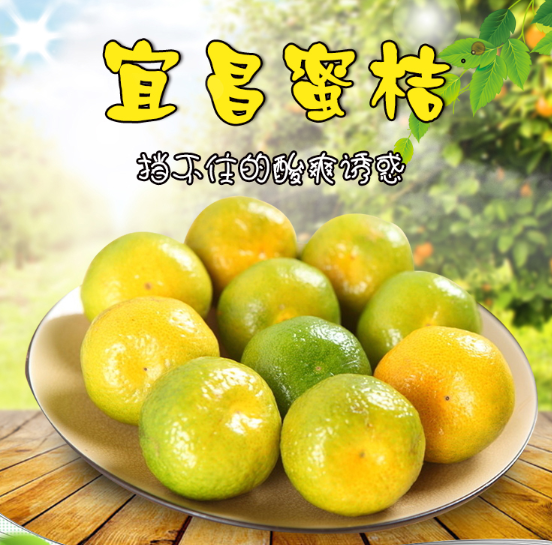 15.8元包邮！宜昌 薄皮蜜桔 5斤