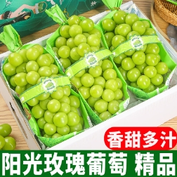 18.9元包邮！泽华果品 陕西阳光玫瑰无籽 4.5斤 -5斤