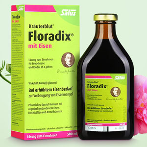 Salus Floradix mit Eisen 铁元营养液500ml