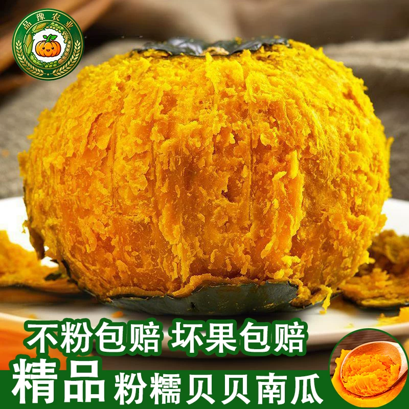 山东正宗板栗贝贝小南瓜5斤装