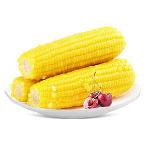 啃糯东北2025年新鲜糯玉米鲜软甜糯真空锁鲜粘玉米低脂早餐旗舰店
