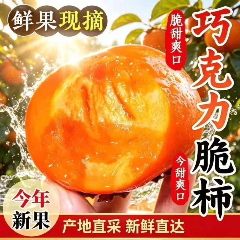 山西阳丰巧克力脆柿子不涩当季新鲜水果整箱时令黄甜硬脆柿子包邮