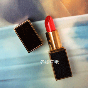 TOM FORD mini黑管/白管唇膏 TOM FORD mini黑管/白管唇膏