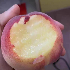 13.99元包邮！现摘新鲜爆甜毛桃 5斤