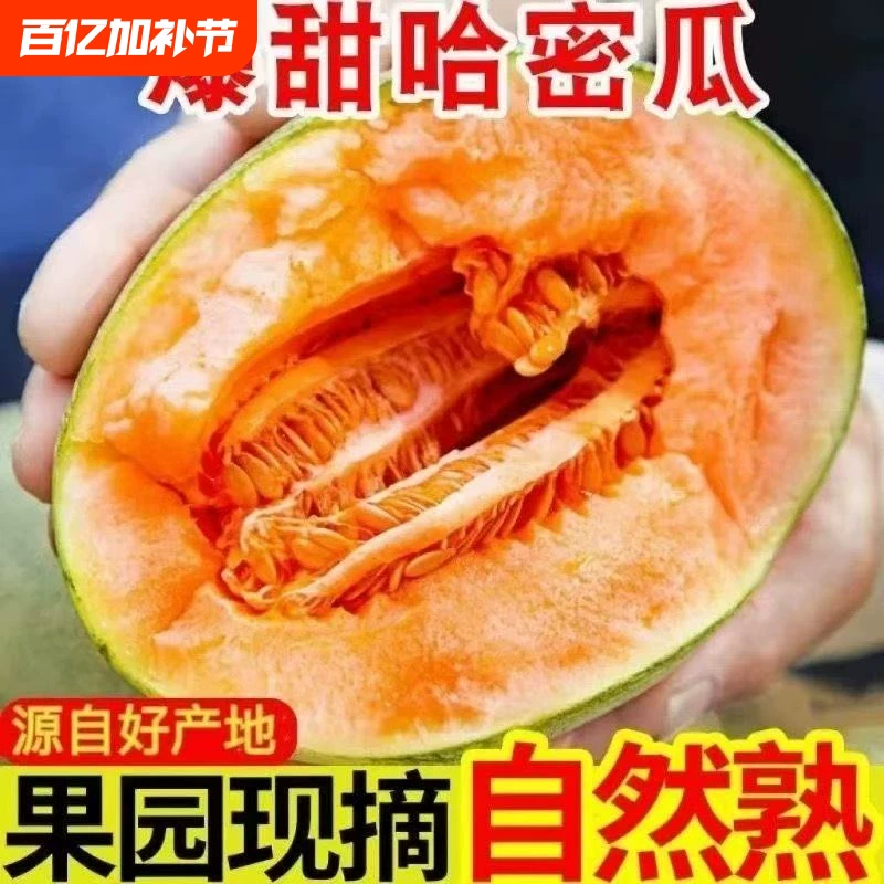 礼金+下拉14！海南正宗沙地哈密瓜5斤