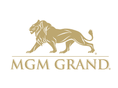 com 地域信息:美国 支付方式:国内信用卡 mgm grand米高梅大酒店于