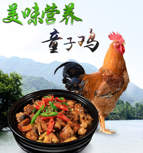 59元包邮正宗农家散养童子鸡2斤2只