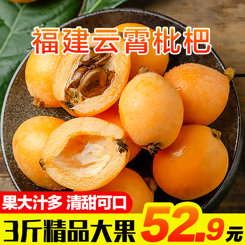 【官旗】土八鲜 云霄枇杷精品大果 3斤（单果40g+）