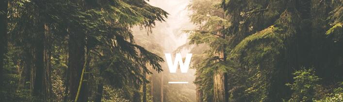 TheWalkingCompany