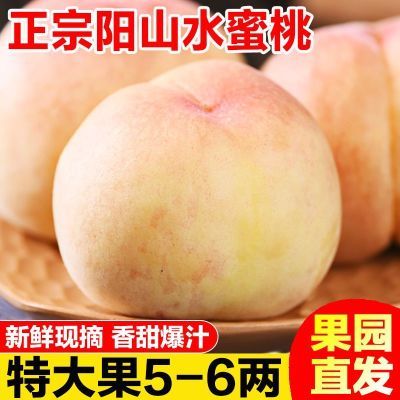PDD热销产品汇总08点档更新2023/07/16