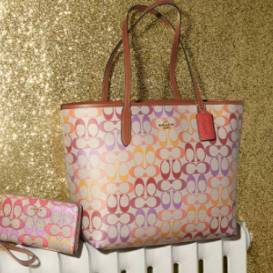 补货 降价!coach 蔻驰 pebbled city zip 女款真皮老花托特包 彩虹款