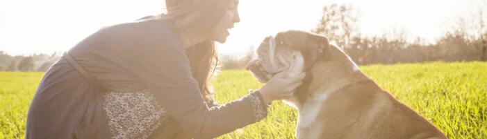 Instinct Pet Food