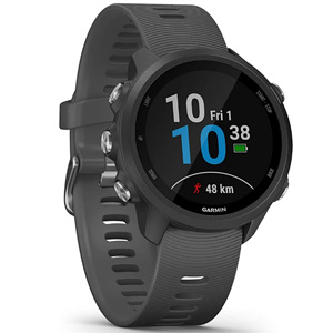 Garmin 佳明 Forerunner 245 运动智能手表(非音乐版) Garmin 佳明 Forerunner 245 运动智能手表(非音乐版)