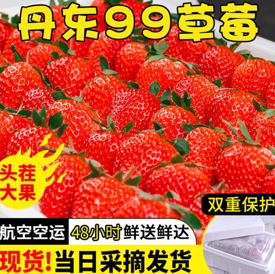 65.9元包邮！鲜午月 丹东99草莓 专供特大果 3斤