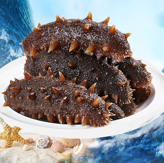 169元包邮！大连即食海参 鲜活辽参500g
