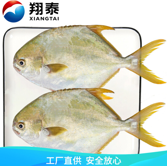 134.52元包邮！翔泰 海南金鲳鱼900g（2条）*5件