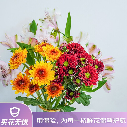9.9元包邮！远方的花 年宵花-绽放的力量 基础款