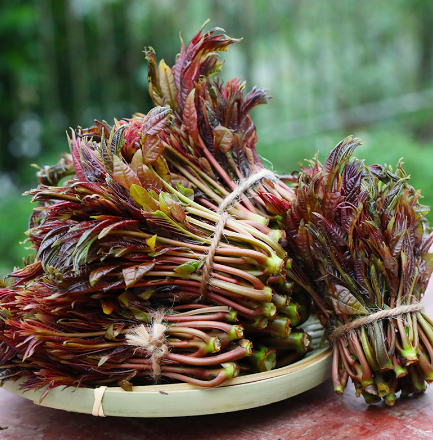 35.2元顺丰包邮！咿鲜庄园 头茬红油香椿芽250g*2件