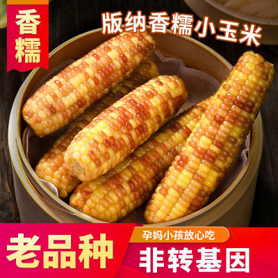 PDD热销产品汇总02点档更新2024/05/26