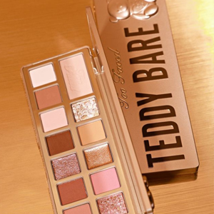 Too Faced Teddy Bare泰迪熊限定眼影盘