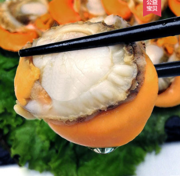 49.9元顺丰包邮！星渔 去壳新鲜熟冻扇贝肉 500g*3件