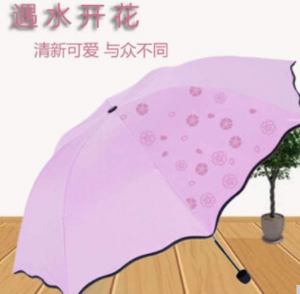 8.9元包邮！遇水开花雨伞颜色随机